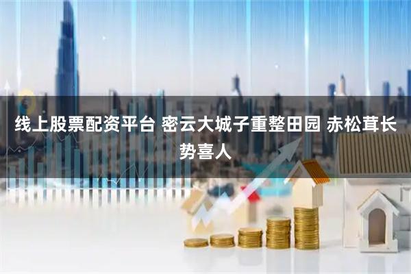 线上股票配资平台 密云大城子重整田园 赤松茸长势喜人