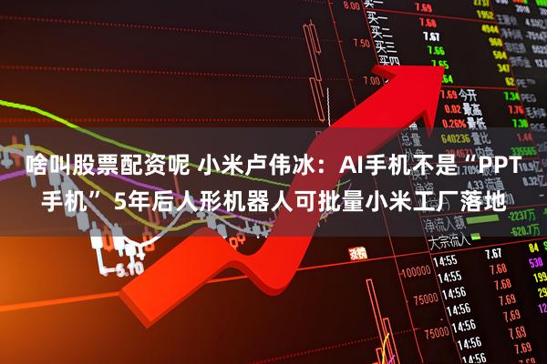 啥叫股票配资呢 小米卢伟冰：AI手机不是“PPT手机” 5年后人形机器人可批量小米工厂落地