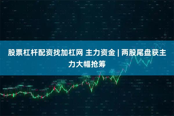 股票杠杆配资找加杠网 主力资金 | 两股尾盘获主力大幅抢筹
