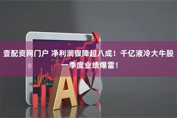 壹配资网门户 净利润骤降超八成！千亿液冷大牛股 一季度业绩爆雷！